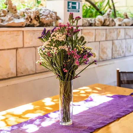 Apartment Nikolina Lu - One-bedroom With Terrace Lumbarda