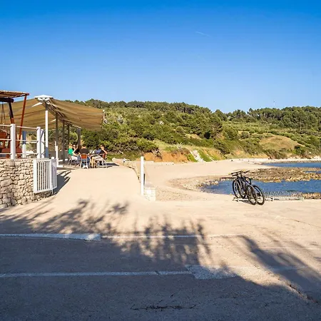 Nikolina Lu - One-bedroom With Terrace Lumbarda