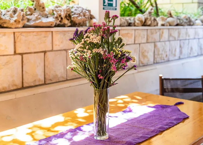 아파트 Nikolina Lu - One-bedroom With Terrace 룸바르다